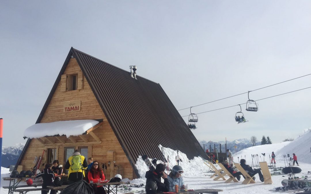 ZONCOLAN 12.02.17